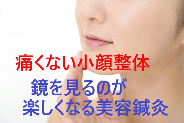 美容整体 美容鍼灸 タイトル